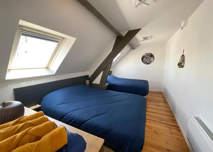 Appartement T3 En Plein Coeur Du Centre-Ville